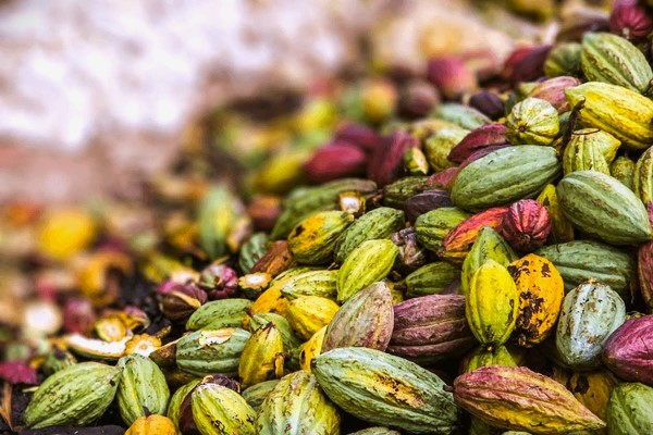 Ambanja dolina Sambirano